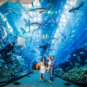 Dubai Aquarium and Underwater Zoo - Dubai Aquarium and Underwater Zoo: Compare Prices & Deals