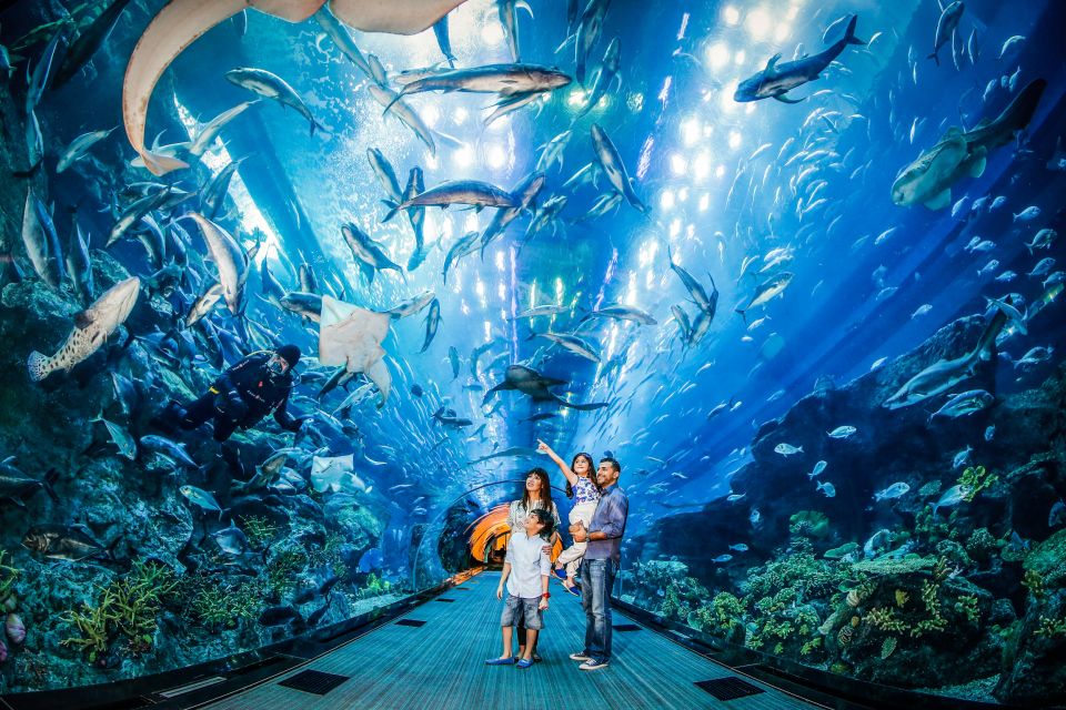 Explore the Wonders of Ocean in the Dubai Aquarium & Underwater Zoo - 30 Unmissable Things To Do in Dubai