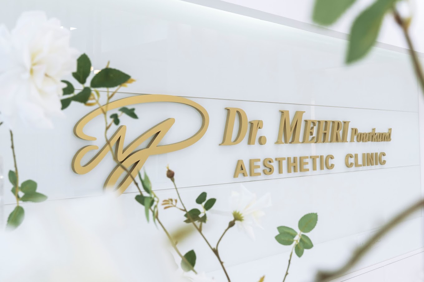 17 Best Clinics in Dubai Top Aesthetic Services and Treatments - Dr Mehri Aesthetic Clinic