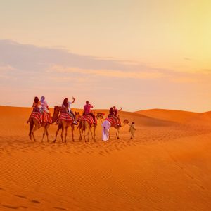 Top Things to Do in Dubai